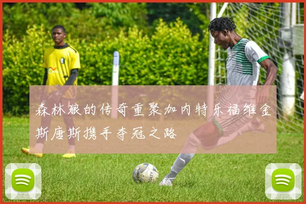 森林狼的传奇重聚加内特乐福维金斯唐斯携手夺冠之路