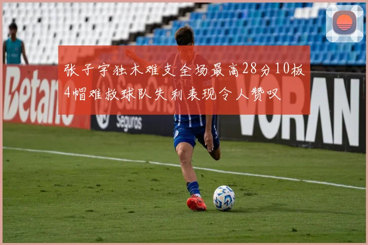 张子宇独木难支全场最高28分10板4帽难救球队失利表现令人赞叹